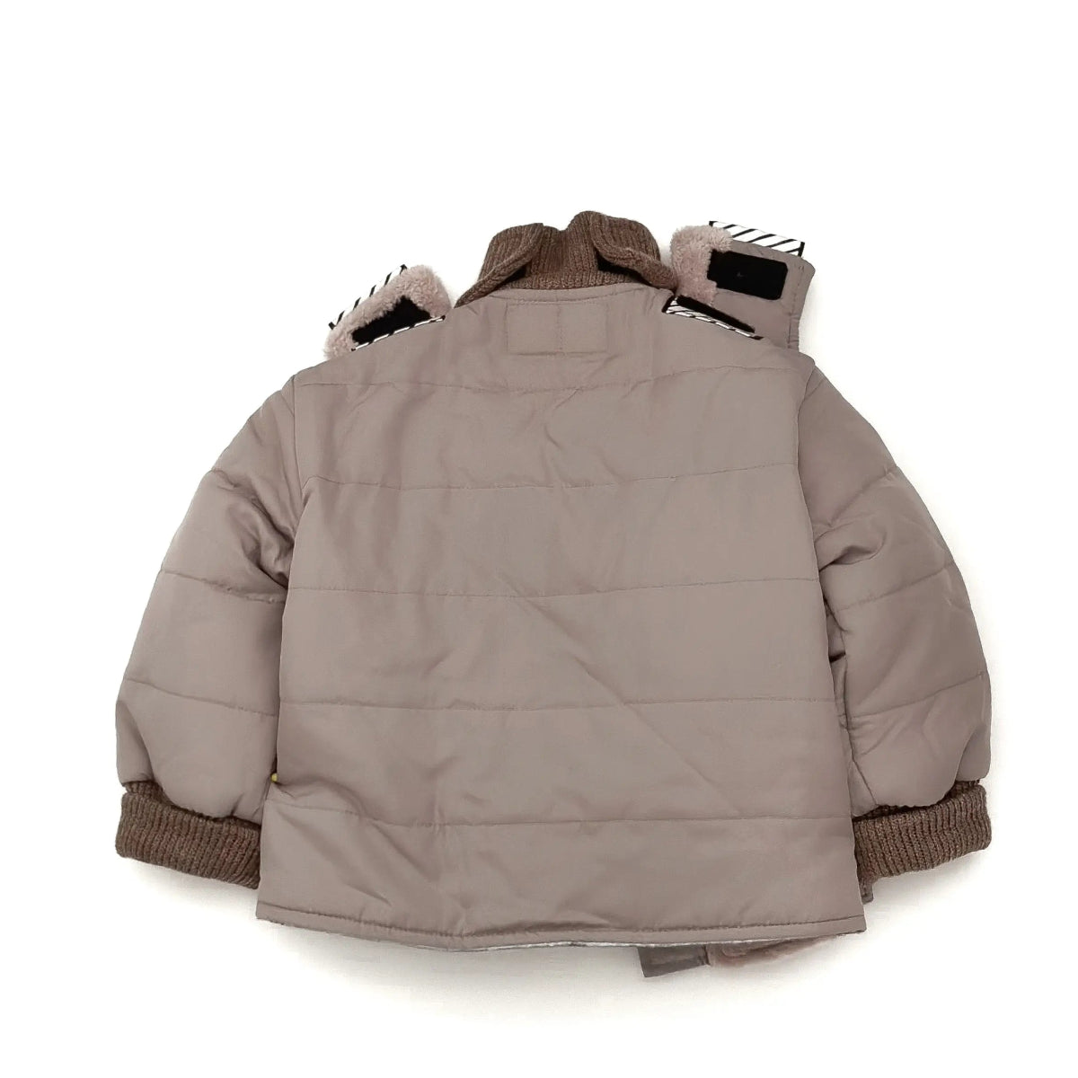 Ready to Roar/Grey