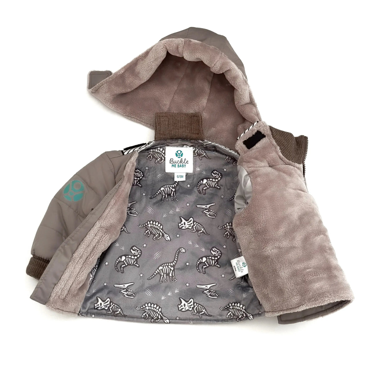 Ready to Roar/Grey
